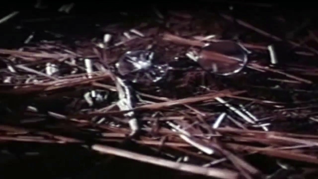 Die Leuteder Shiloh Ranch Staffel 7 Folge 9 - Part 02 HD Deutsch