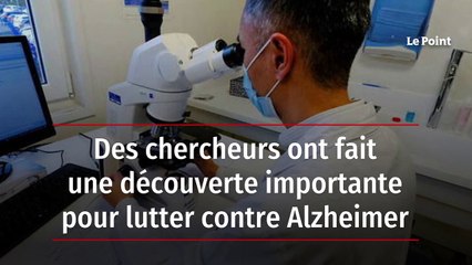 Des chercheurs ont fait une découverte importante pour lutter contre Alzheimer