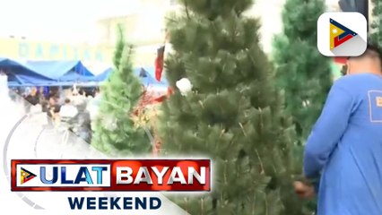 Mga namimili sa Dapitan Arcade, dagsa na; presyo ng Christmas tree, hindi tumaas