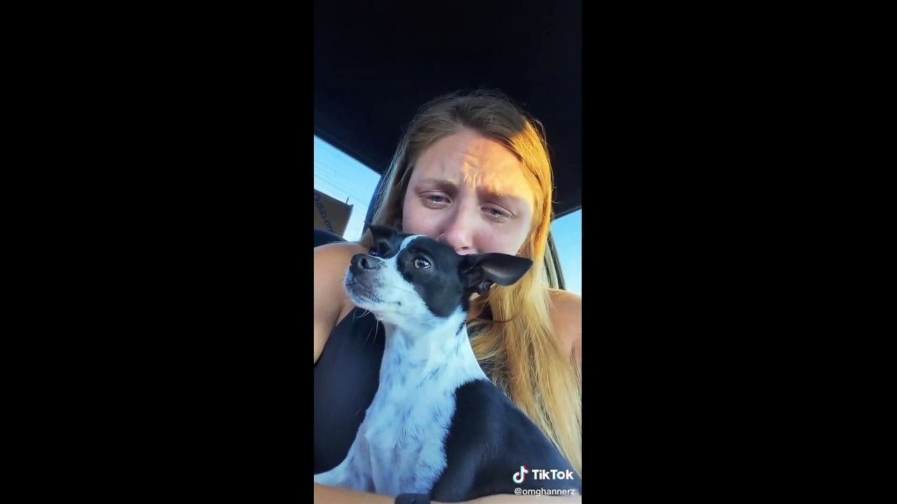 This Cute Animals Compilation Will Melt Your heart | Cute Animals Compilation