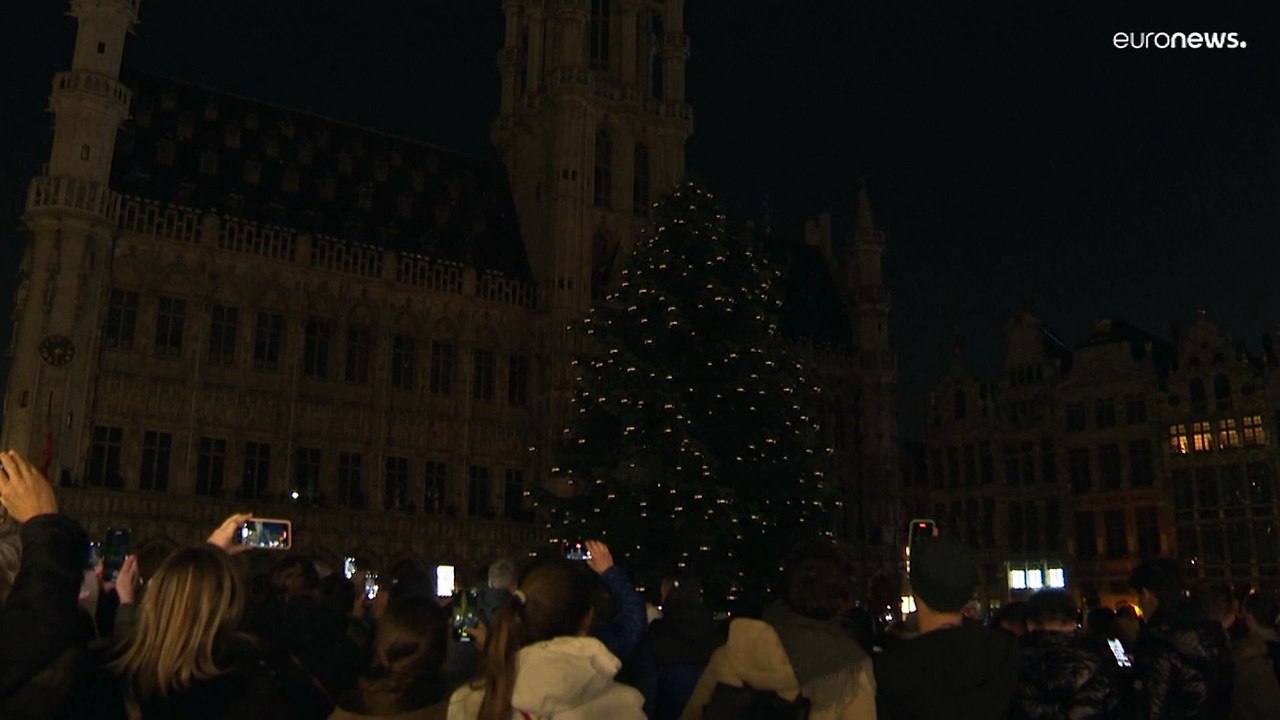 Riesen-Weihnachtsbaum leuchtet in Brüssel