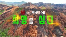 [YTN 특집] 불 꺼진 자리에 희망을 심다 / YTN