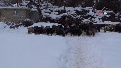 Batman'da etkili olan kar yağışı köyleri beyaza bürüdü