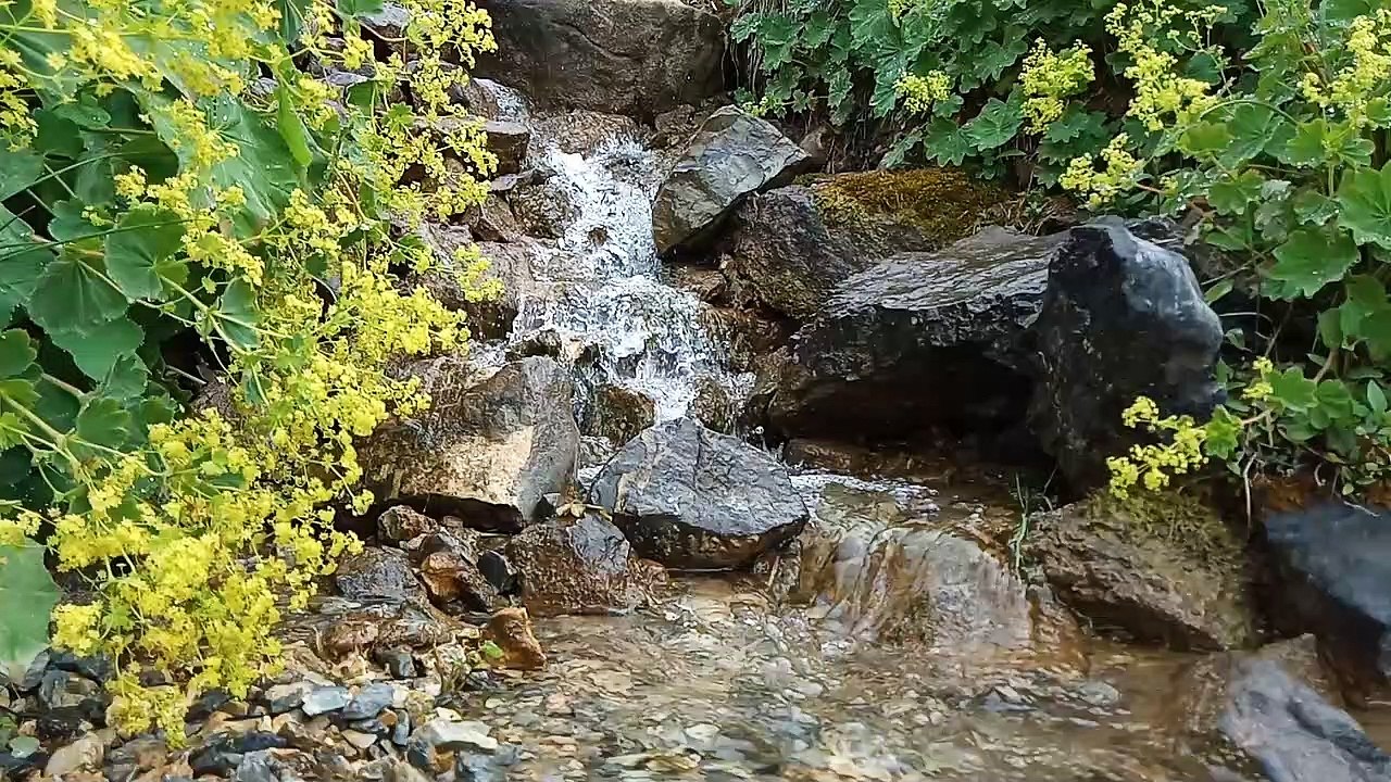 Landscapes from the Plateau 4