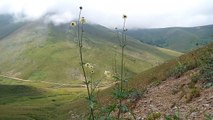 Landscapes from the Plateau 8