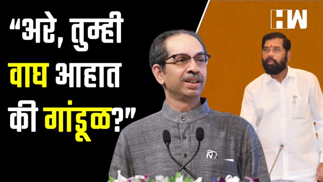 अरे, तुम्ही वाघ आहात कि गांडूळ बुलढाण्यात Uddhav Thackeray कडाडले । Supriya Sule । Abdul Sattar । EKnath Shinde