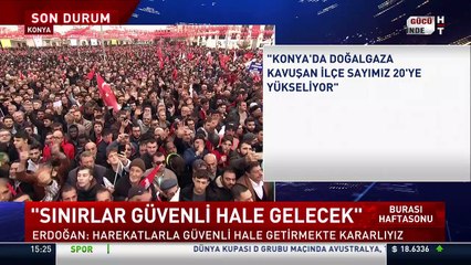 Erdoğan'dan Konya Hayvan Barınağı'ndaki vahşete ilişkin açıklama