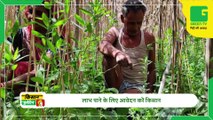 Kisan Bulletin उन्नत तकनीक से बंपर पैदावार करने वाले किसानों को मिलेगा सम्मान | Cultivation of horticulture crops | betel cultivation