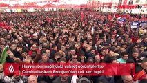 Hayvan barınağındaki vahşet görüntülerine Cumhurbaşkanı Erdoğan'dan çok sert tepki