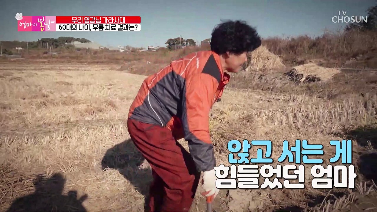 무릎 통증이 있던 엄마의 2주 후 상태는 과연?! TV CHOSUN 20221127 방송
