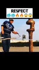 respect  #shorts #respect