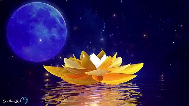 Sommeil Profond et Réparateur Musique De Sommeil Rapide en Moins De 5 Minutes Bien Dormir