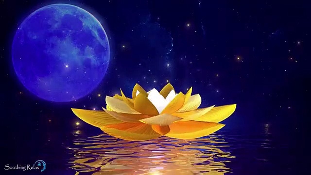 Sommeil Profond et Réparateur  Musique De Sommeil Rapide en Moins De 5 Minutes  Bien Dormir