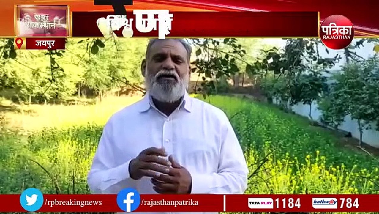 विश्व पर्यावरण संरक्षण दिवस: हर साल पौधारोपण पर करोड़ो खर्च, इनमें 35 से 40 फीसदी पौधे ही रहते है जीवित