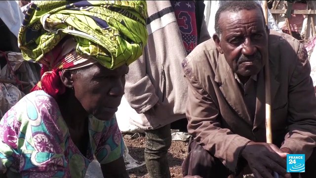 Le cessez-le-feu entre l'armée congolaise et les rebelles du M23 va-t-il tenir ? 