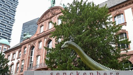 Researchers find 47-million-year-old snake: it holds a big secret