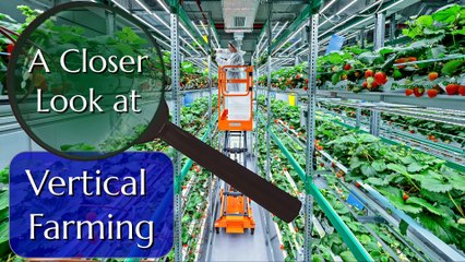 Vertical Farming: A Professional Grower Checks the Hype