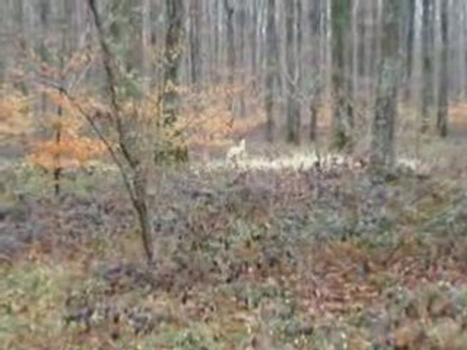 Photo 035