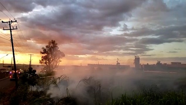 Área de vegetação pega fogo às margens da BR-467 e fumaça prejudica visibilidade da rodovia