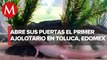 El primer ajolotario de Toluca abre sus puertas a los visitantes