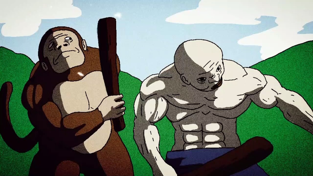monkey and humans