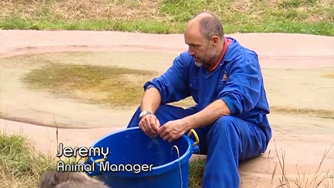 Monkey Life S01E01