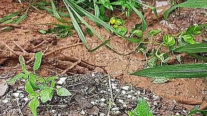 Regional Corporations Respond