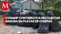 En Chiapas, la Conanp ha recolectado más de 30 toneladas de basura en playa Puerto Arista