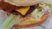 Hamburger #foodlover  #foodies #foodie #food #2022 #france #humburger #hamburgers #hamburgersteak #hamburgersauce #cheeseburger #cheeseburgers  #cheese #cheeselover (1)