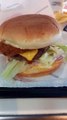 Hamburger #foodlover  #foodies #foodie #food #2022 #france #humburger #hamburgers #hamburgersteak #hamburgersauce #cheeseburger #cheeseburgers  #cheese #cheeselover (1)