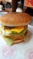 Hamburger #foodlover  #foodies #foodie #food #2022 #france #humburger #hamburgers #hamburgersteak #hamburgersauce #cheeseburger #cheeseburgers  #cheese #cheeselover (4)