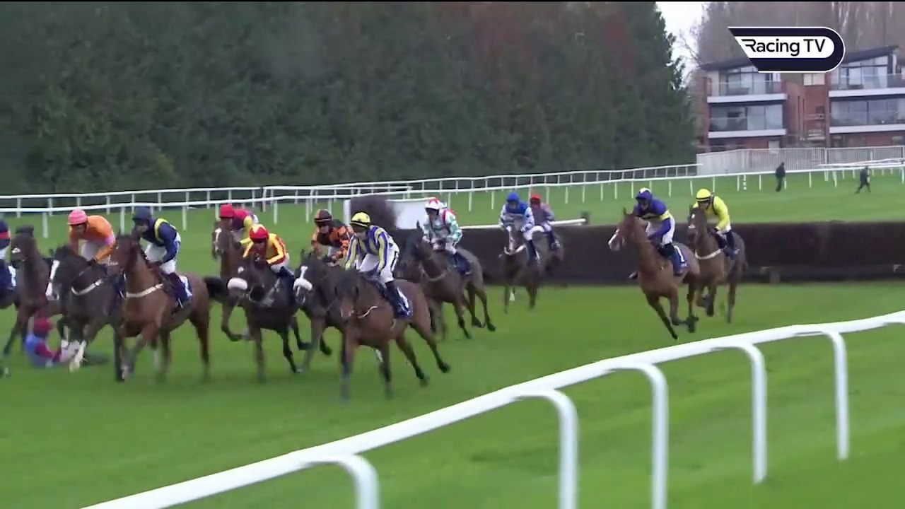 Horses racing | Beautiful and strong horses - video Dailymotion