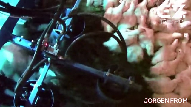 See how these machines work, can't believe Incredible technology modern machines