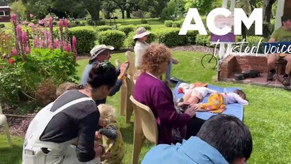 Verandah Music Festival 2022 Highlights and Dad Jokes at Evandale