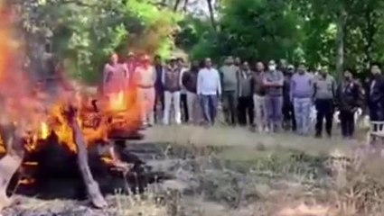 उमरियाः बांधवगढ़ टाइघर रिजर्व में फिर एक तेंदुए की मौत,चौकाने वाली वजह आई सामने..