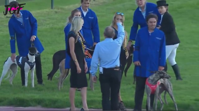 Greyhound dog racing - Track race 480m