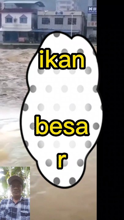 Gara banjir ikan besar ikut hanyut