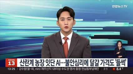 Download Video: 산란계 농장서 잇단 AI…불안심리에 달걀 가격도 '들썩'