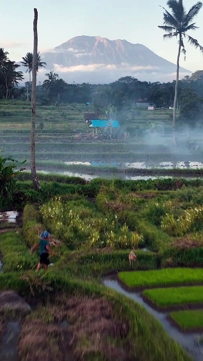 Alam Bali