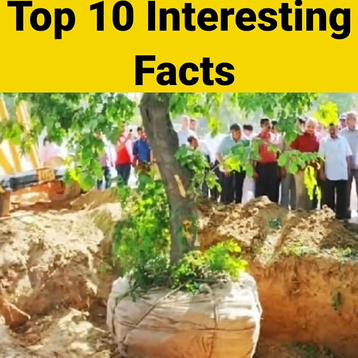 Top10 Interesting Facts In Hindi Amazing facts Random Facts _Shorts_Short _YoutubeShorts _Anandfacts(720P_HD)