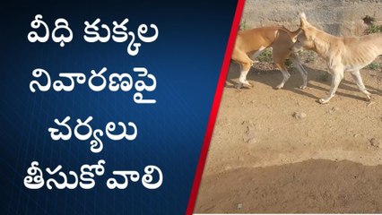 పాలేరు: వీధి కుక్కల స్వైర విహారం.. తప్పని ఇబ్బందులు