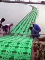 Smart farming innovation #shorts #viral #shortsvideo #video #innovationhub