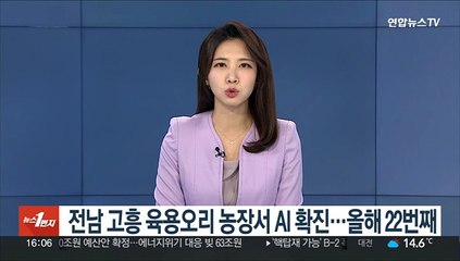 전남 고흥 육용오리 농장서 AI 확진…올해 가금농장서 22번째