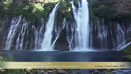 Zauber For Absent Friends