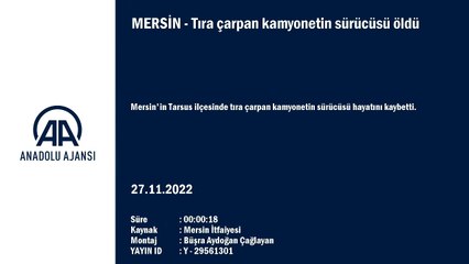 Tıra çarpan kamyonetin sürücüsü öldü