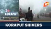 Intense cold wave hits normal life in Koraput
