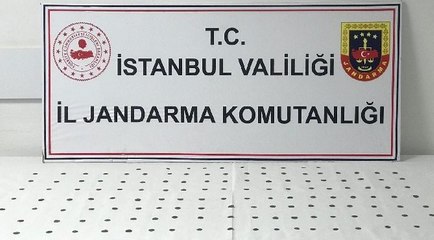 İstanbul’da tarihi eser kaçakçılığı operasyonu