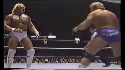 HULK HOGAN VS MR. WONDERFUL full match