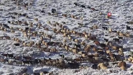 Türkiye'nin en yüksek rakımlı köyüne mevsimin ilk karı yağdı