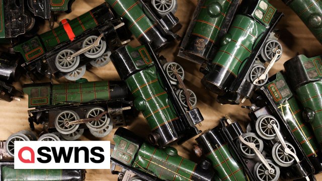 One of the UK's largest private collections of model trains is being auctioned off - and is expected to fetch at least £100k